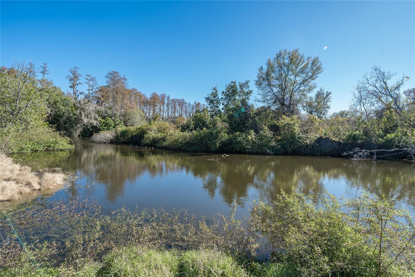 Image 88 of 88 For 4302 Carrollwood Village Drive