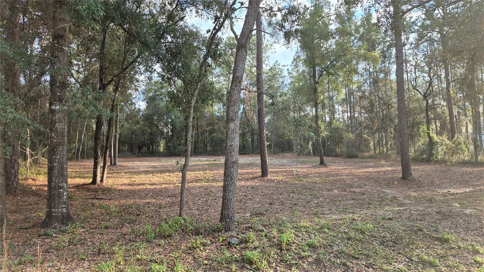 Details for 6334 Little Lake Geneva Road, KEYSTONE HEIGHTS, FL 32656