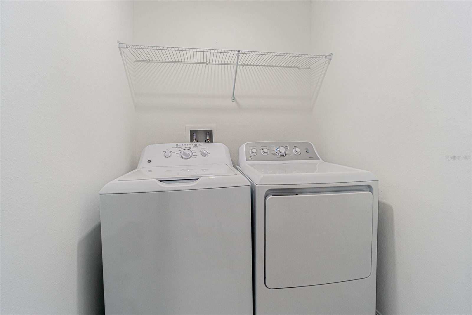 Image 14 of 26 For 32065 Powderpuff Mimosa