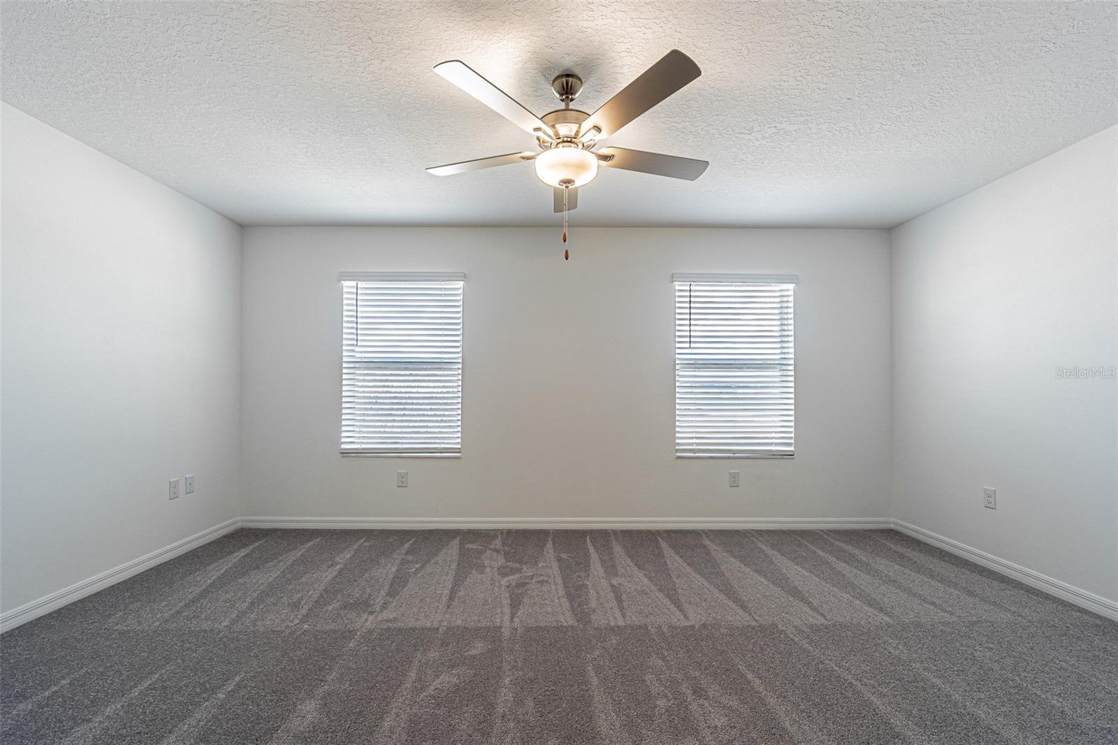 Image 16 of 26 For 32065 Powderpuff Mimosa