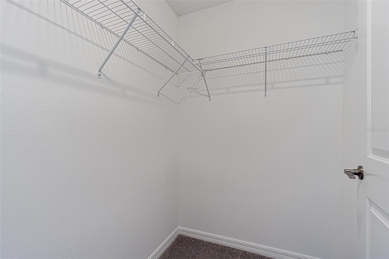 Image 19 of 26 For 32065 Powderpuff Mimosa