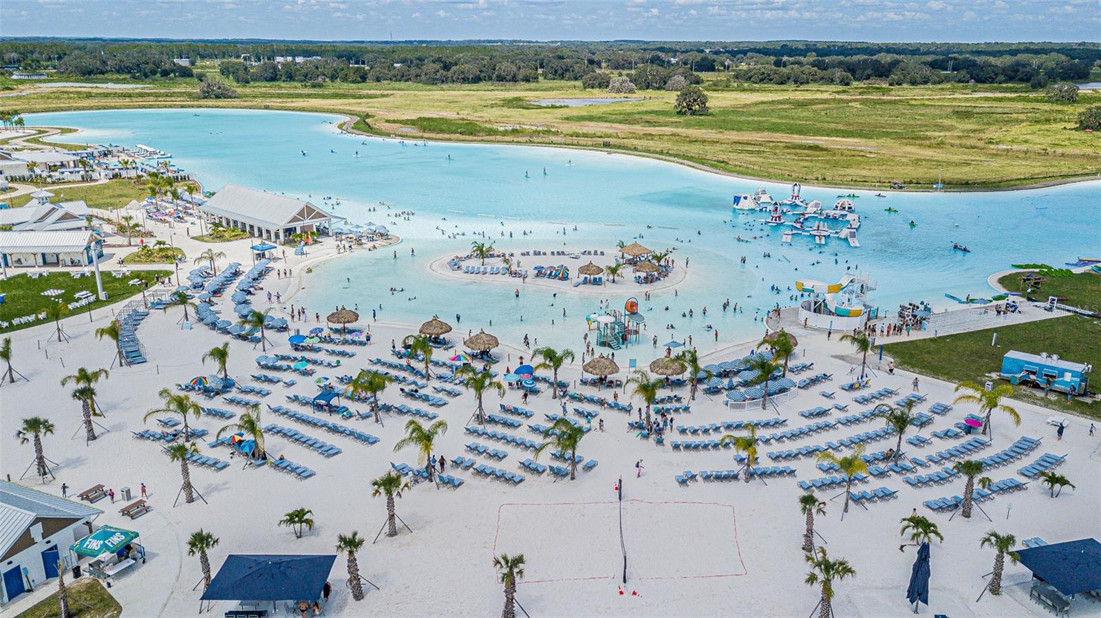 Image 22 of 26 For 32065 Powderpuff Mimosa