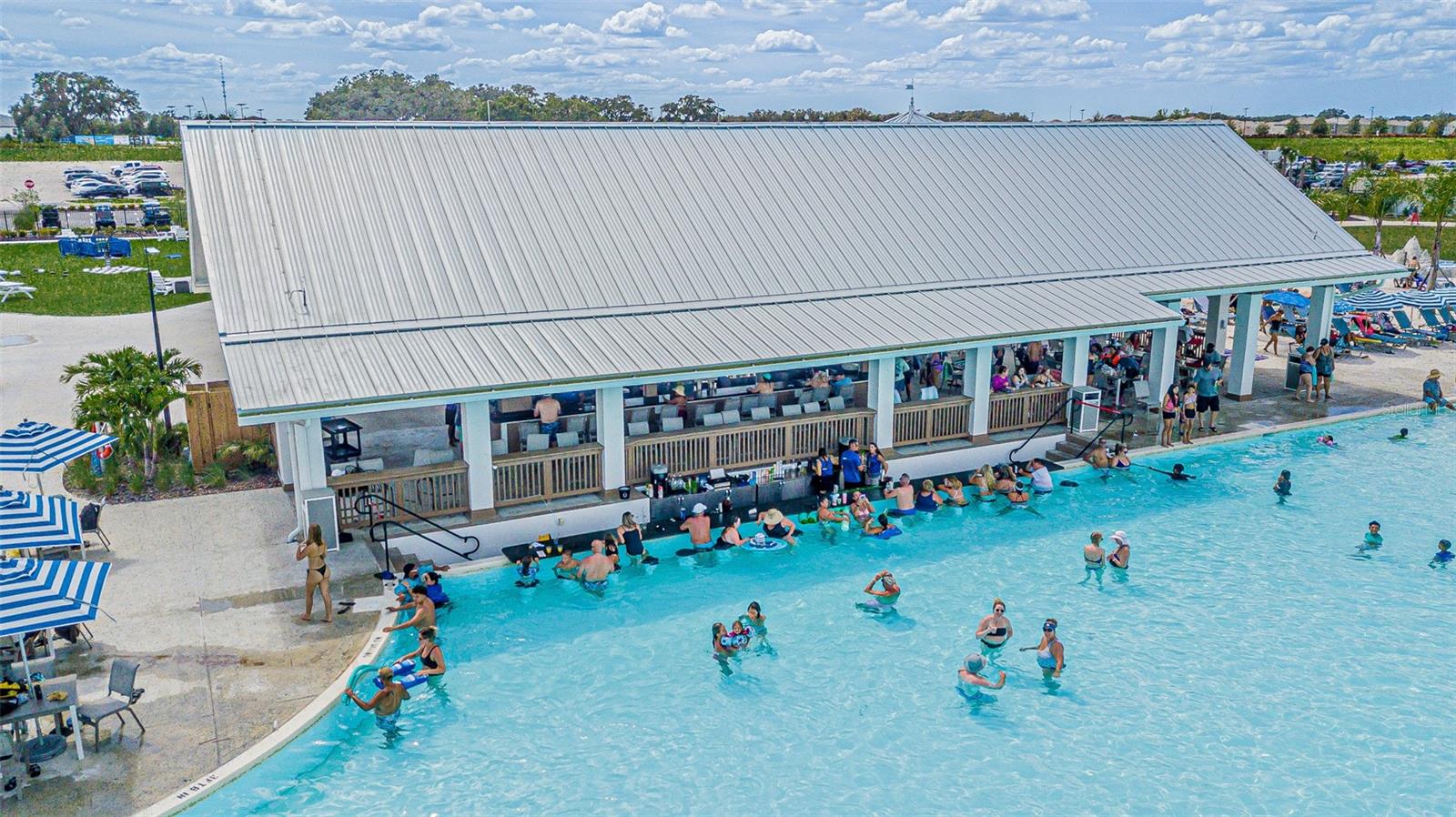 Image 24 of 26 For 32065 Powderpuff Mimosa