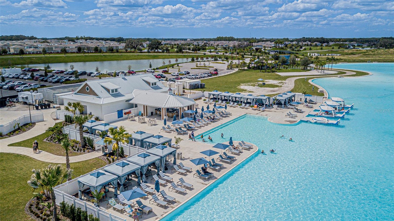 Image 25 of 26 For 32065 Powderpuff Mimosa