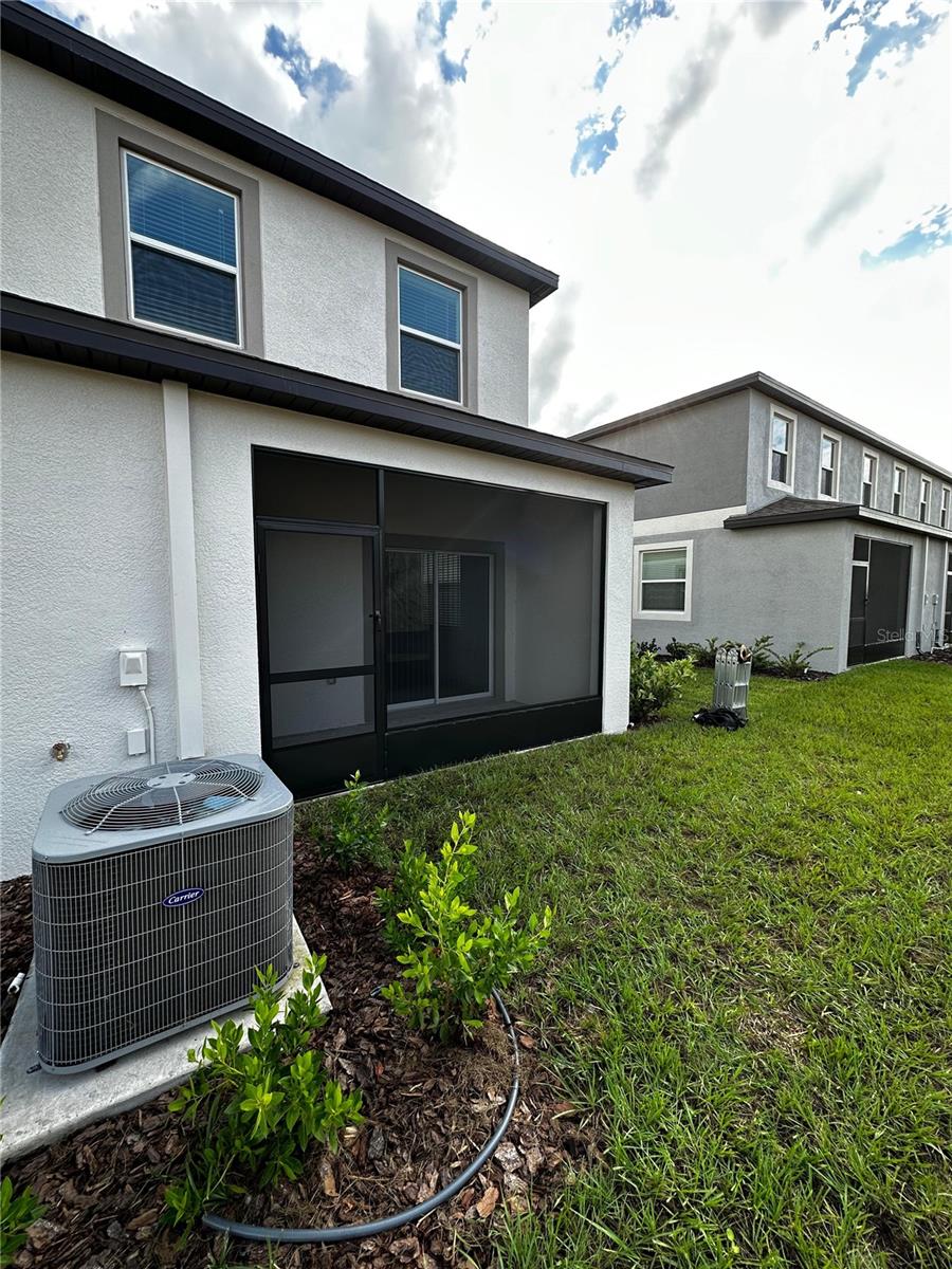 Image 26 of 26 For 32065 Powderpuff Mimosa