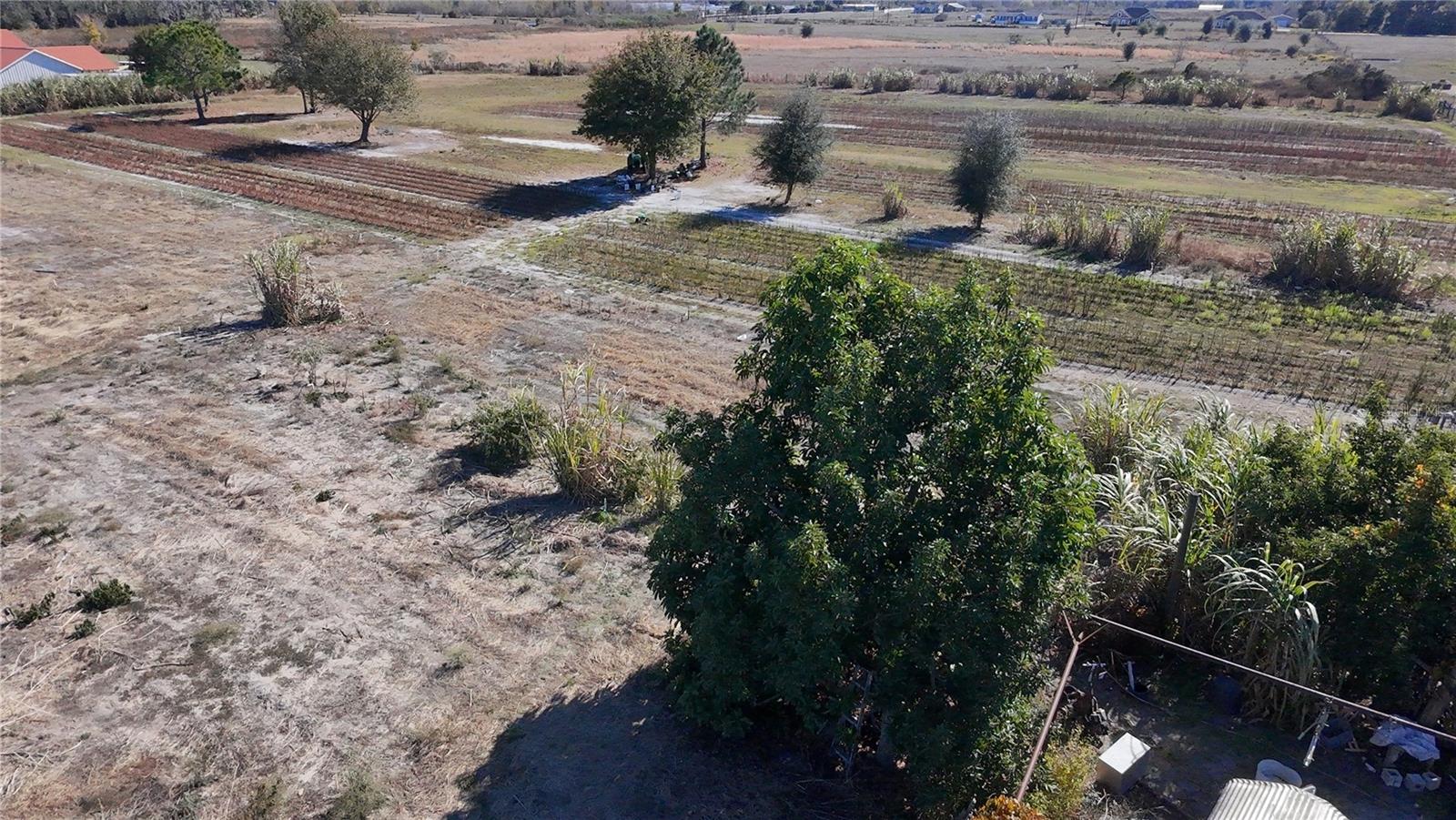 Image 2 of 11 For 2303 Sands Road