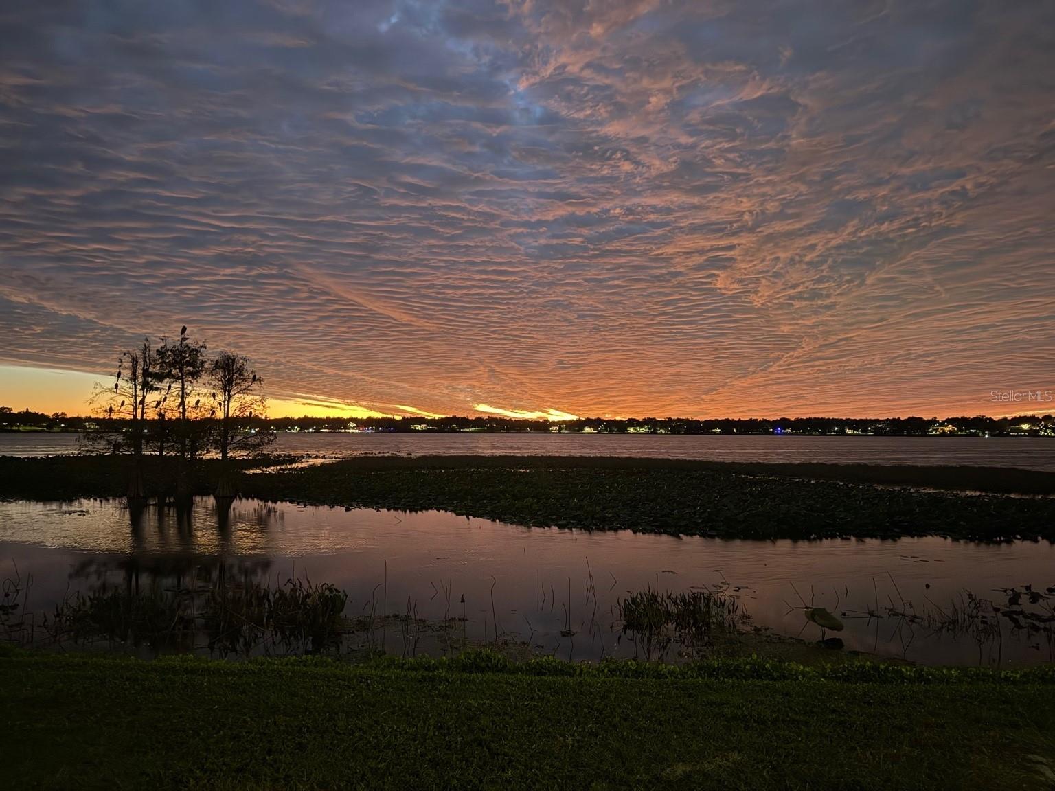 Image 30 of 33 For 1040 Dorothy Street