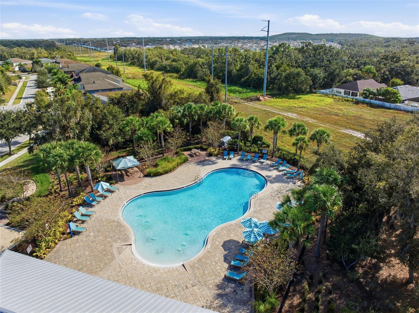 Image 61 of 71 For 11014 Little Blue Heron Drive