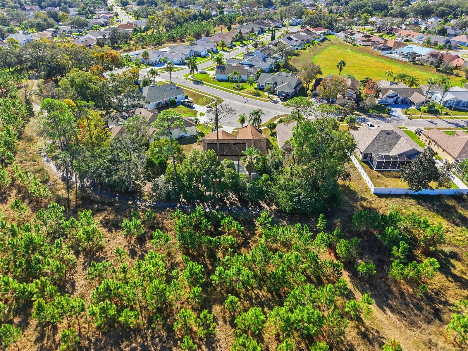 Image 38 of 40 For 9233 Irondale Lane