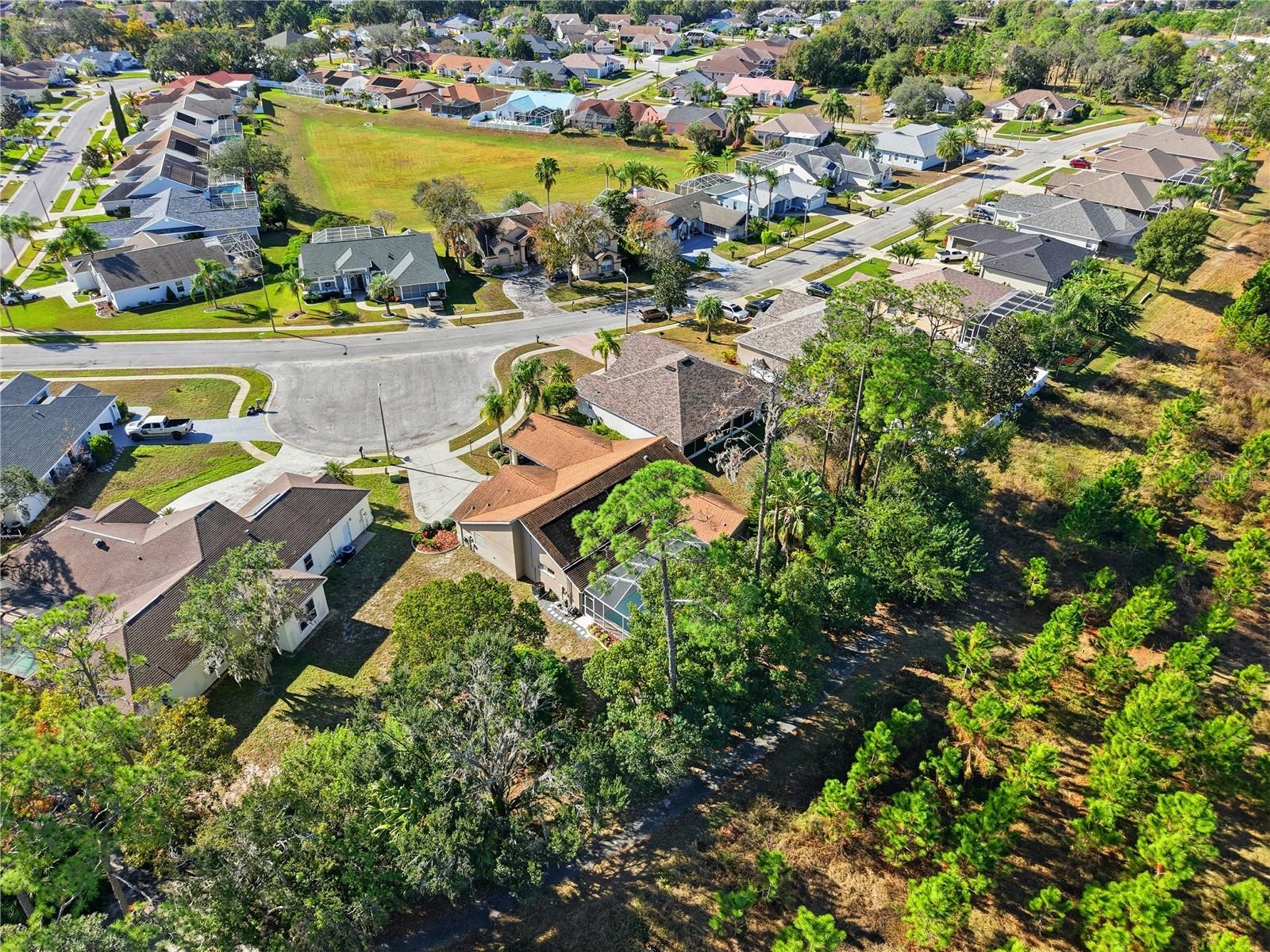 Image 39 of 40 For 9233 Irondale Lane