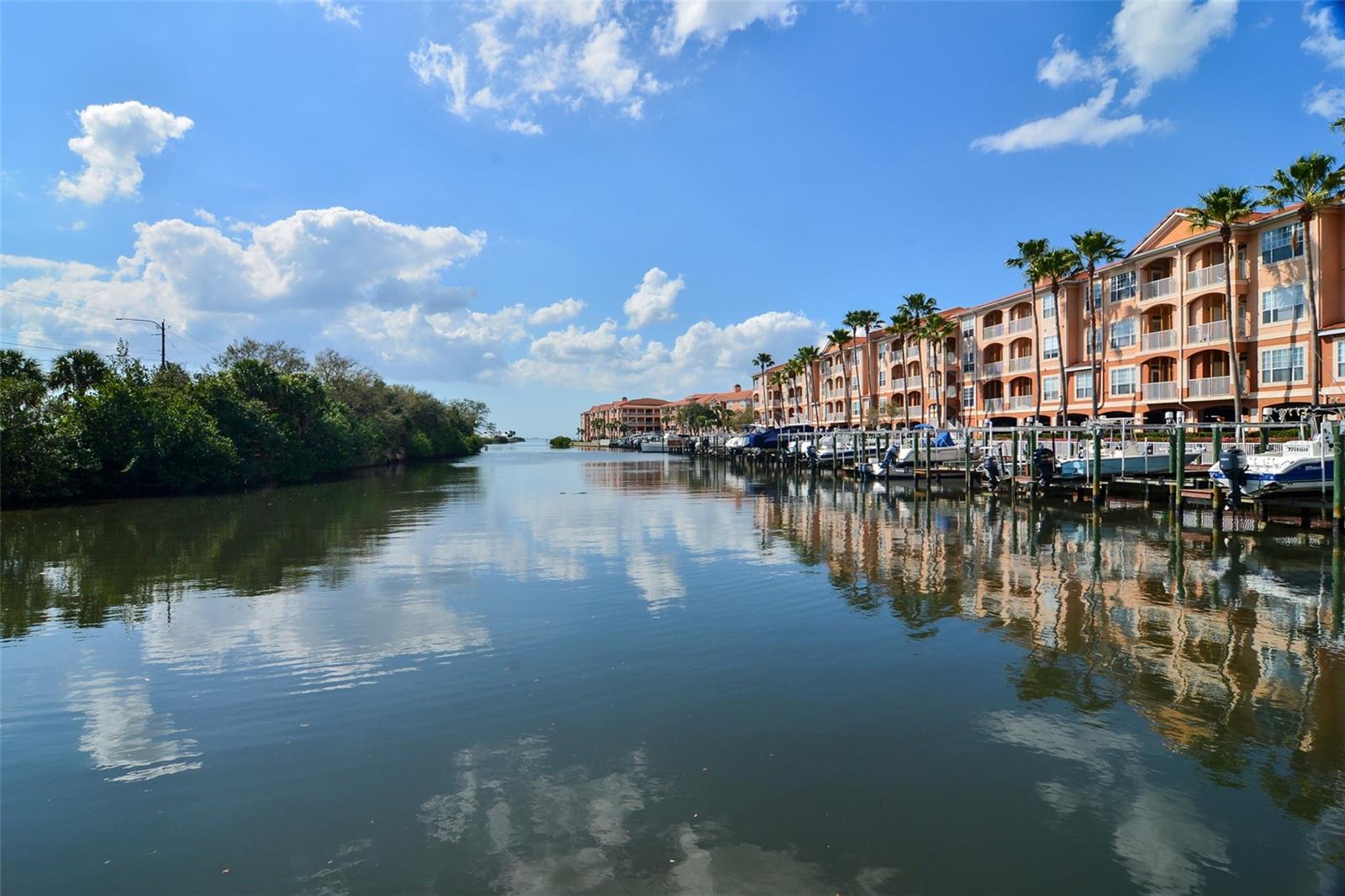 Image 24 of 30 For 5000 Culbreath Key Way 8206