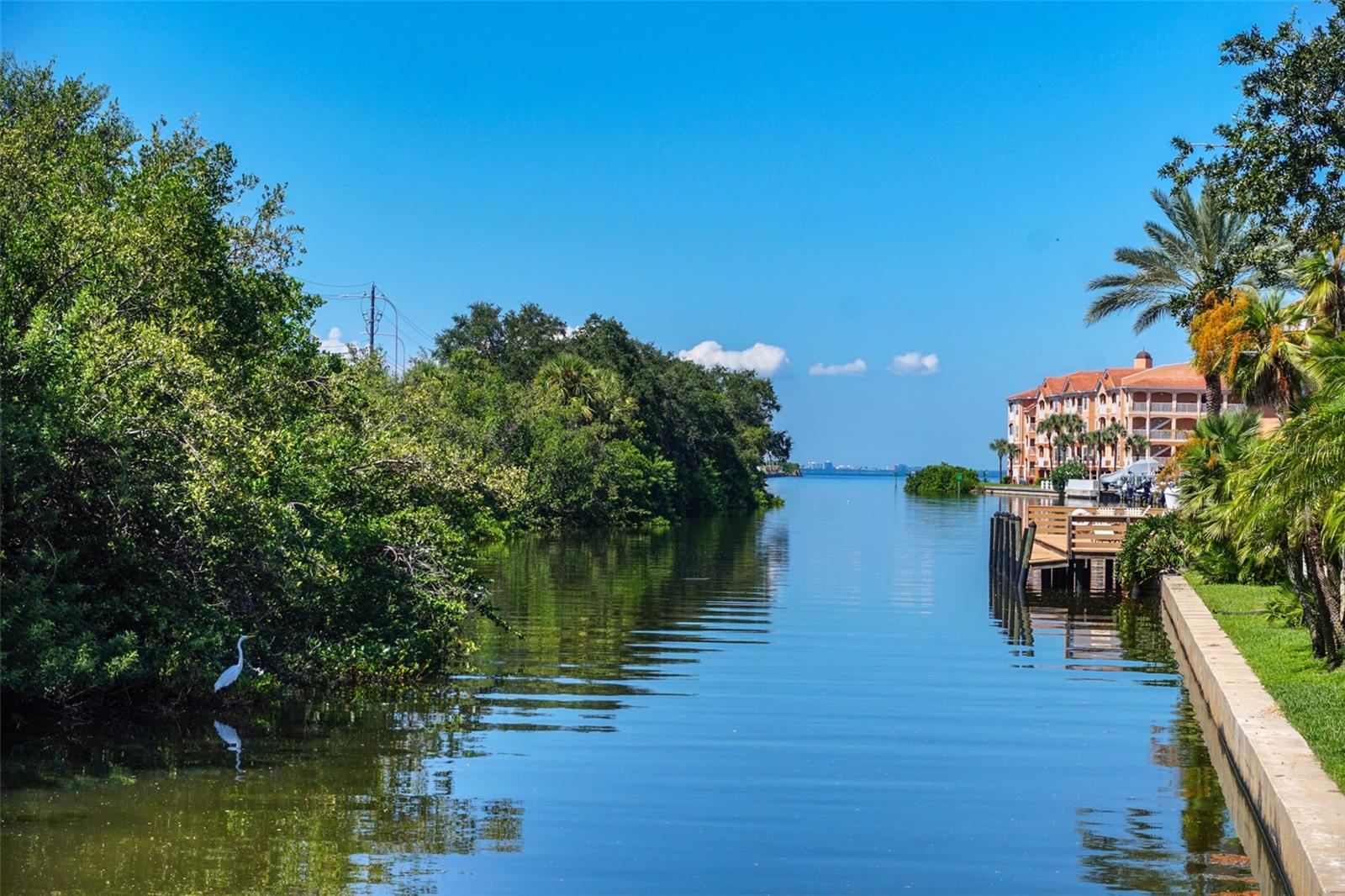 Image 25 of 30 For 5000 Culbreath Key Way 8206