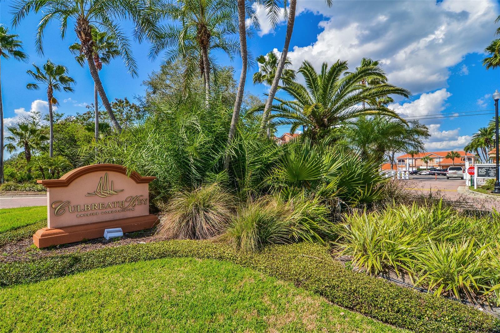 Image 3 of 30 For 5000 Culbreath Key Way 8206