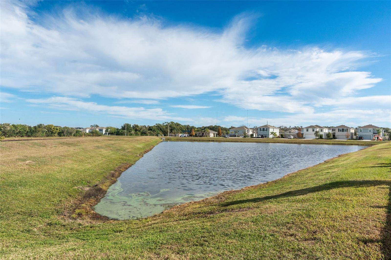 Image 40 of 49 For 11447 Stone Pine Street