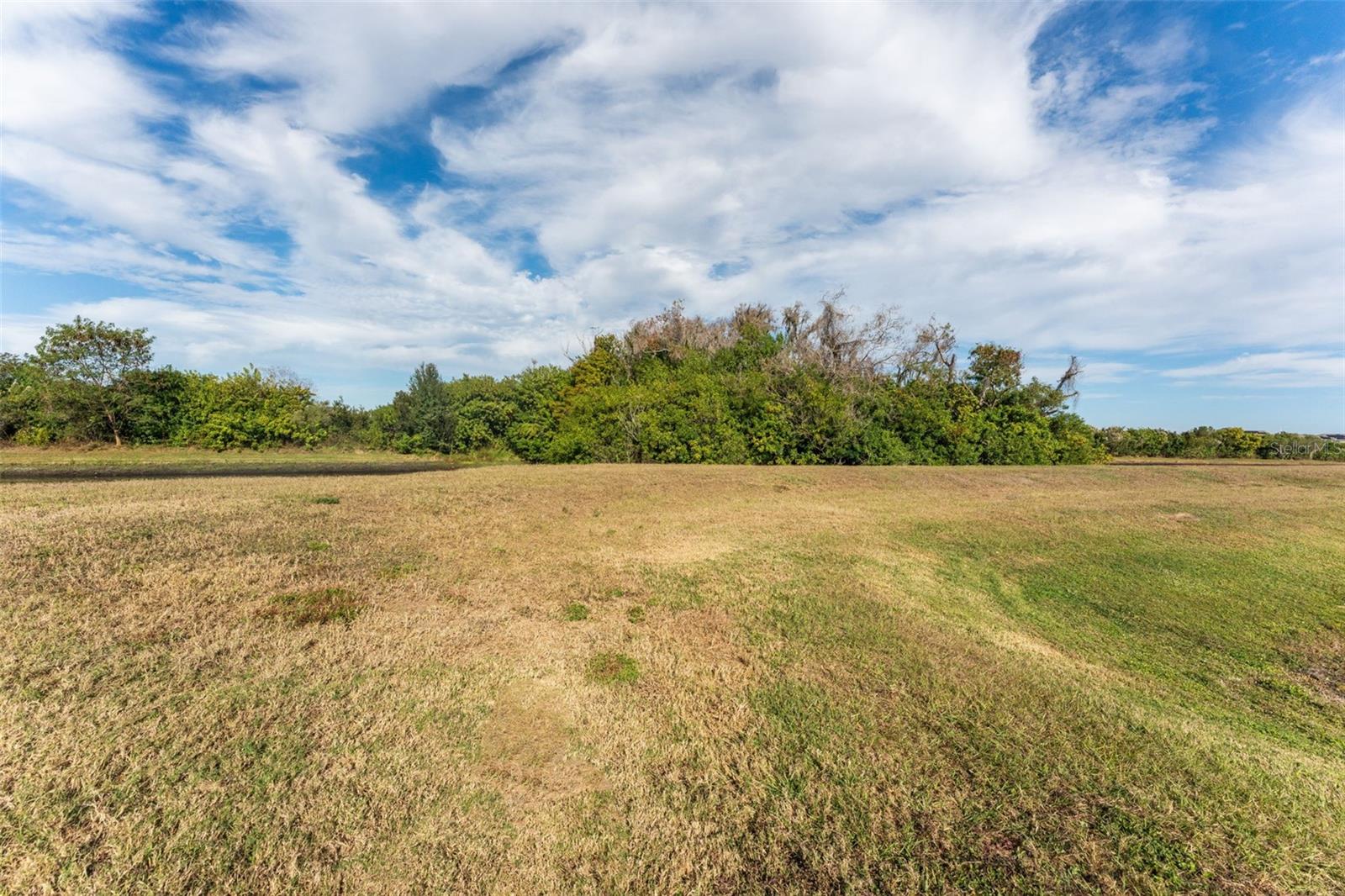 Image 41 of 49 For 11447 Stone Pine Street