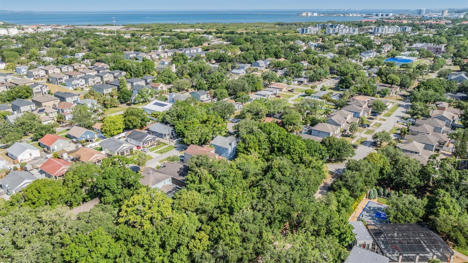 Listing photo id 8 for  Port Tampa  