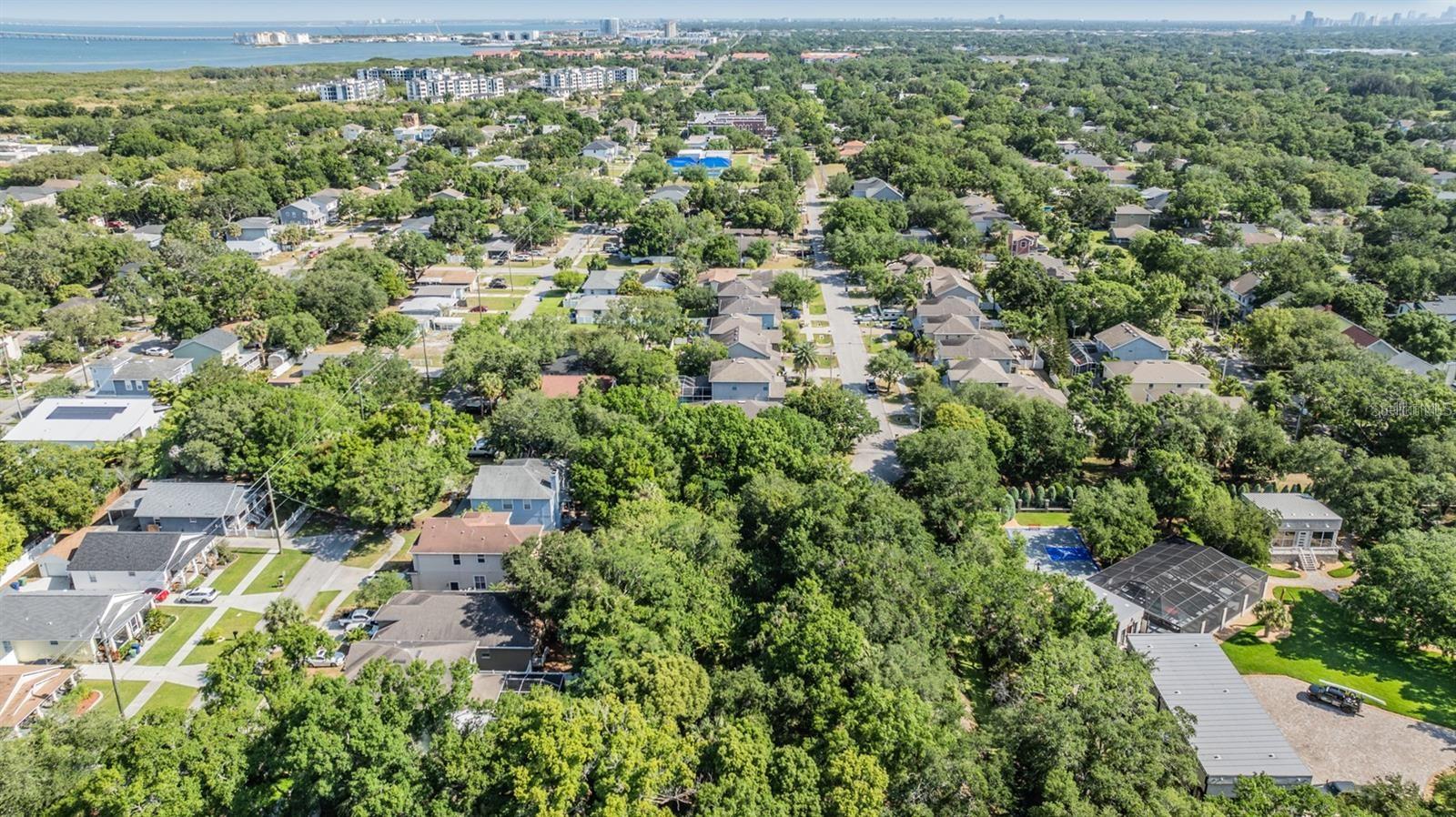 Listing photo id 9 for  Port Tampa  