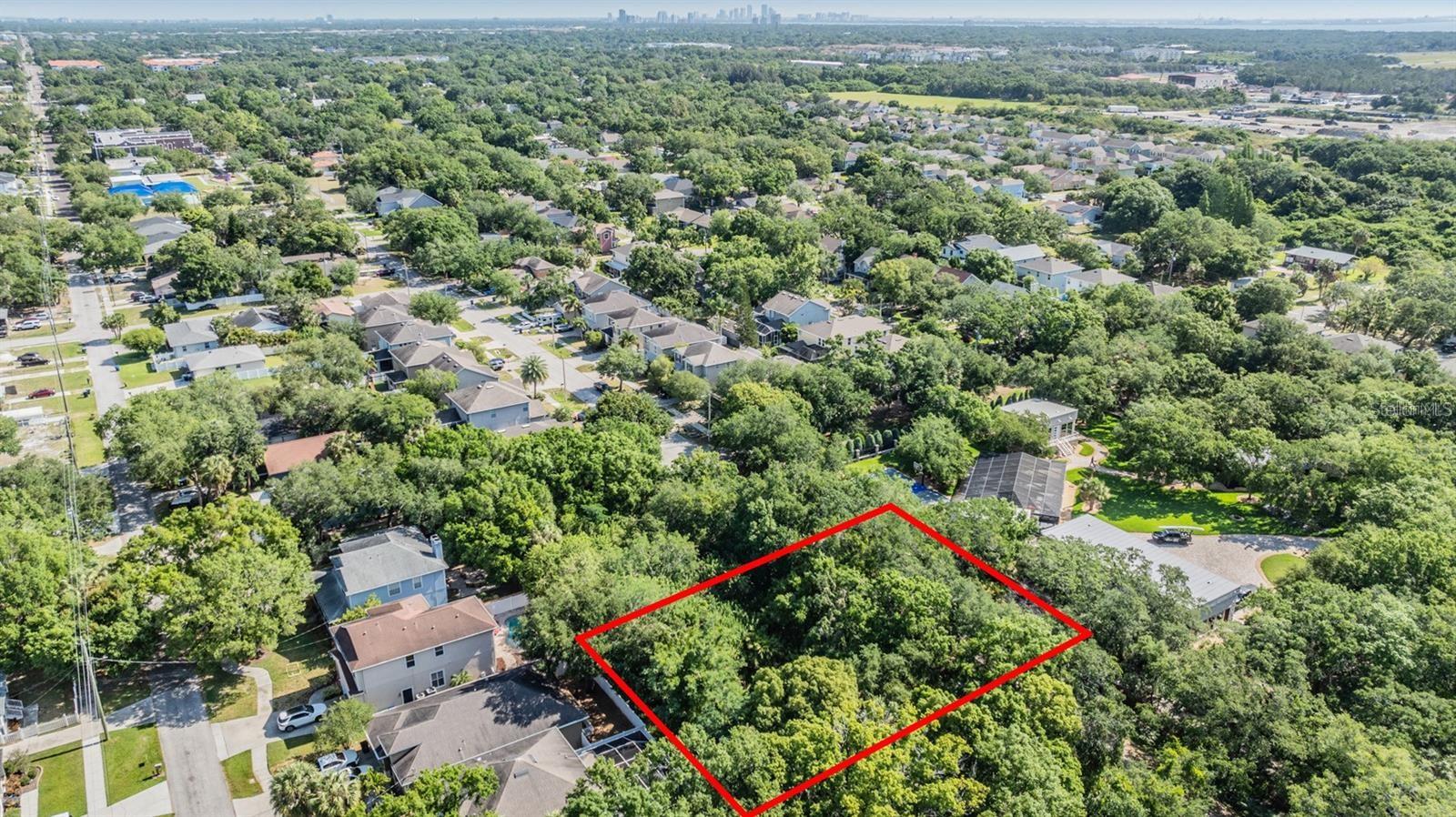 Listing photo id 10 for  Port Tampa  