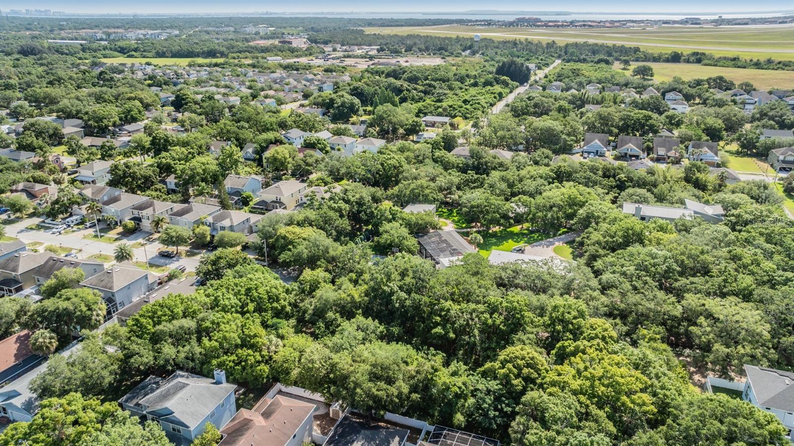 Listing photo id 11 for  Port Tampa  