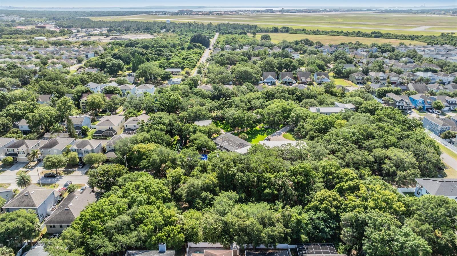 Listing photo id 12 for  Port Tampa  