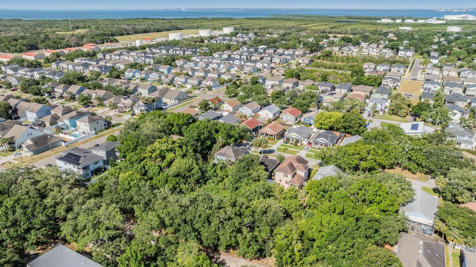 Listing photo id 17 for  Port Tampa  