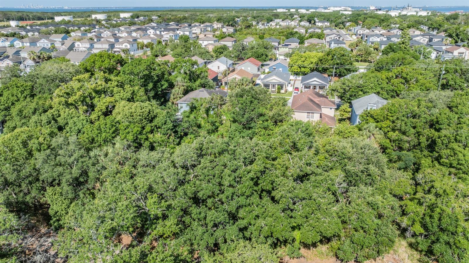 Listing photo id 0 for  Port Tampa  