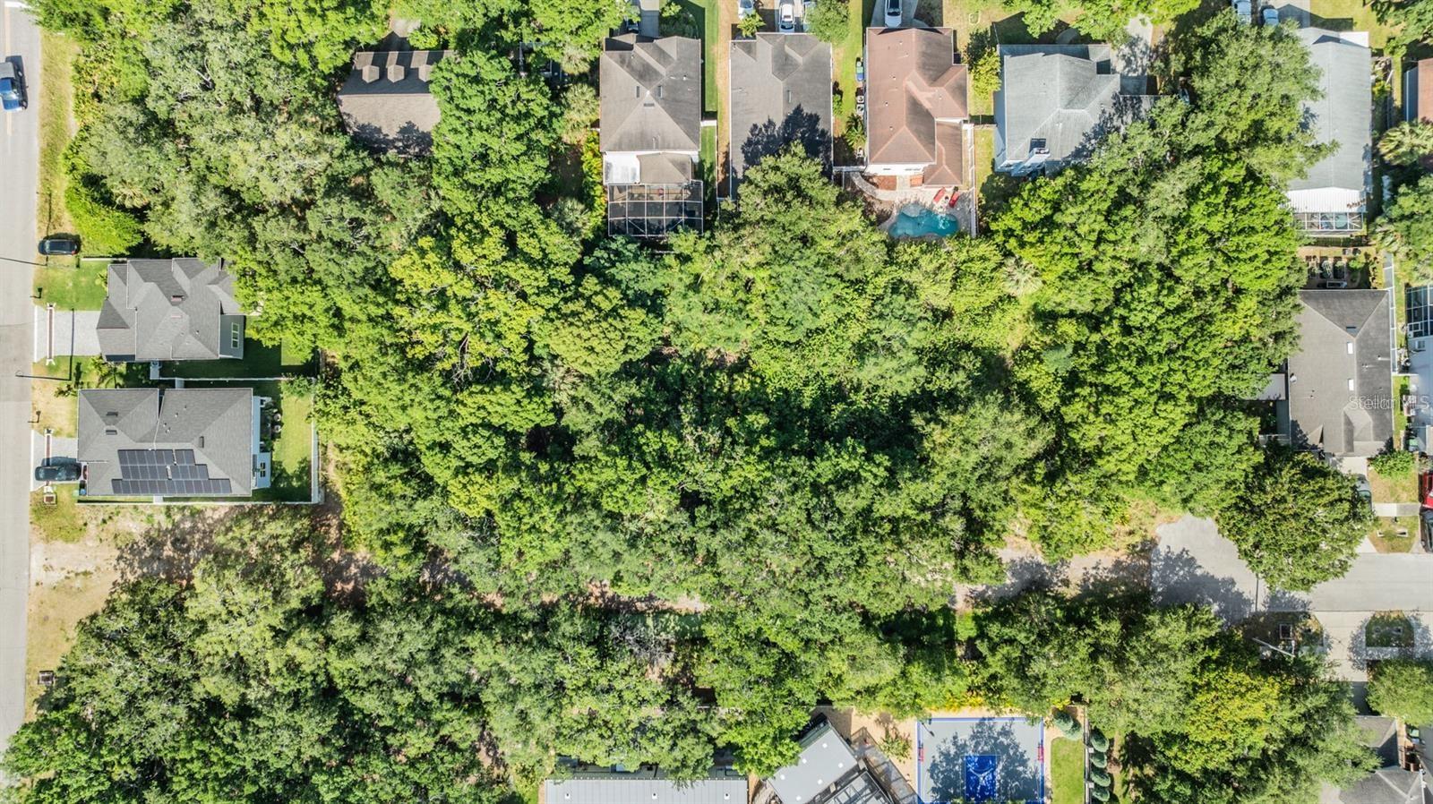 Listing photo id 19 for  Port Tampa  