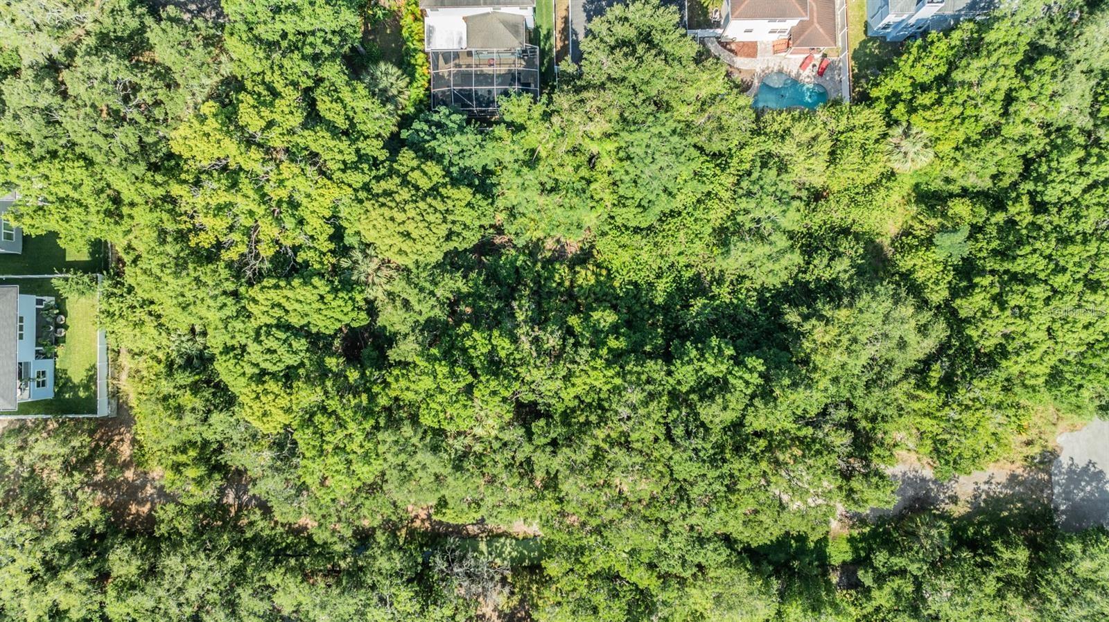 Listing photo id 20 for  Port Tampa  