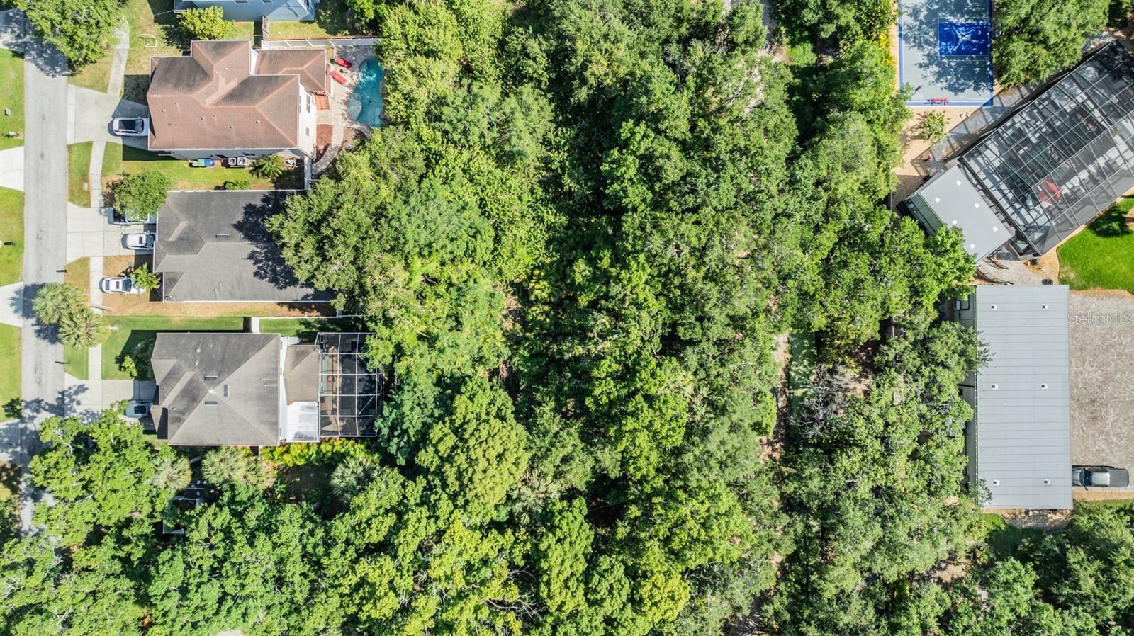 Listing photo id 21 for  Port Tampa  