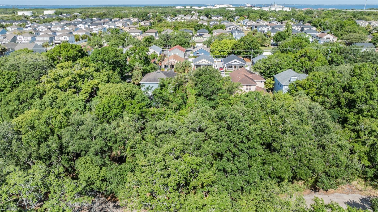 Listing photo id 1 for  Port Tampa  