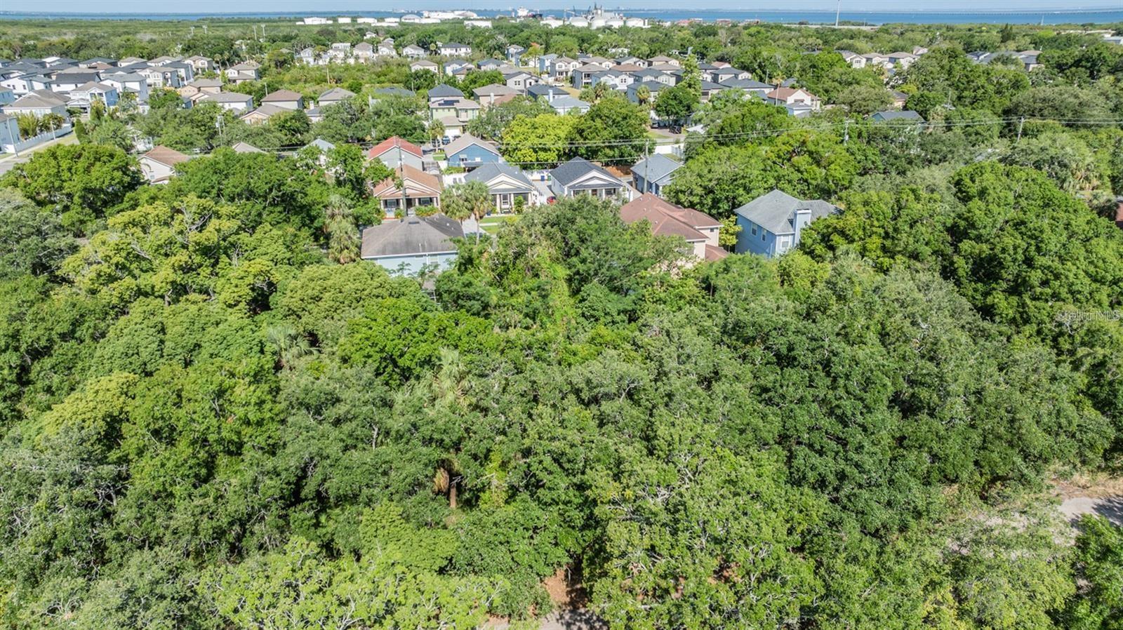 Listing photo id 2 for  Port Tampa  