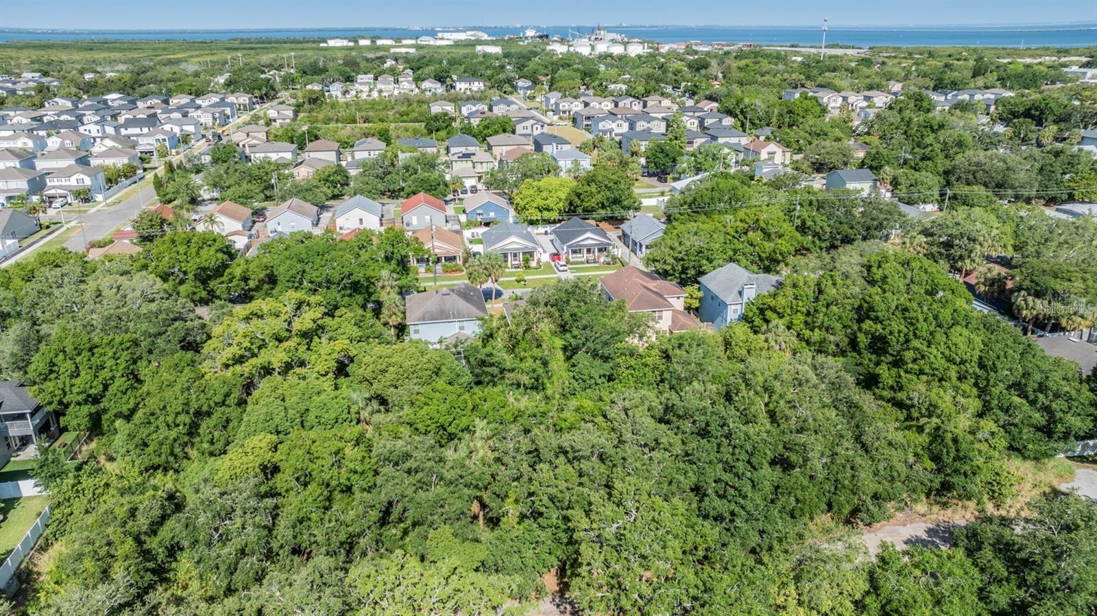 Listing photo id 3 for  Port Tampa  