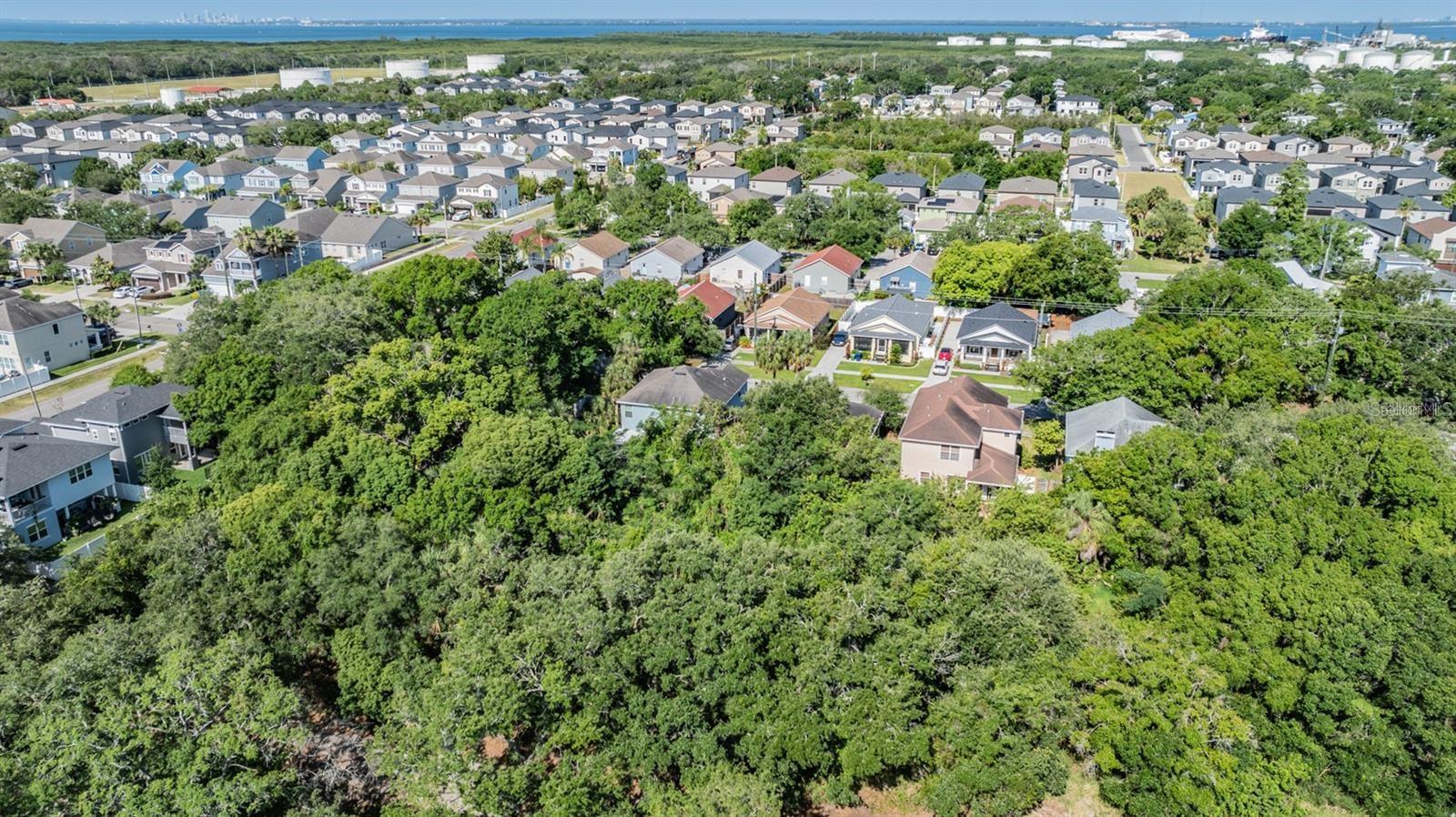 Listing photo id 5 for  Port Tampa  