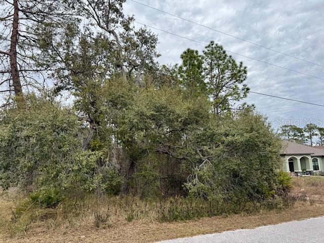 Image 10 of 12 For 10439 Gypsy Avenue