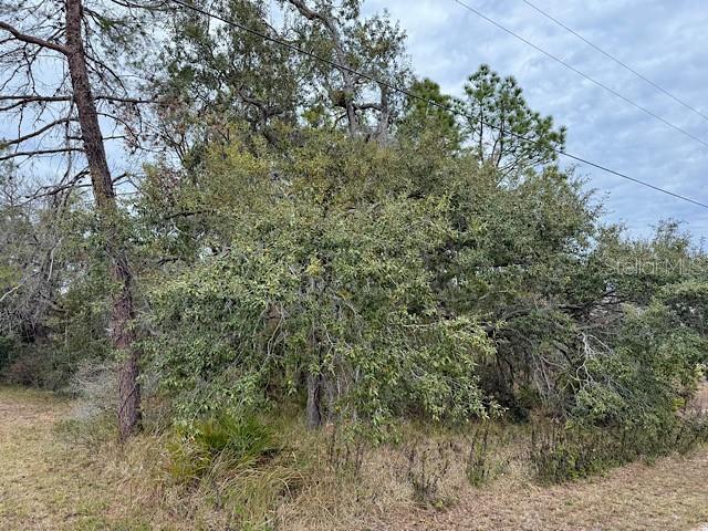 Image 11 of 12 For 10439 Gypsy Avenue