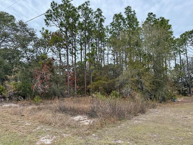 Image 7 of 12 For 10439 Gypsy Avenue