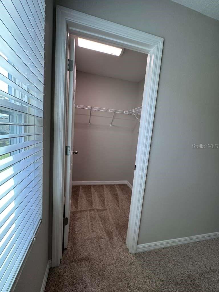 Image 18 of 39 For 34086 Scarlet Sage Court