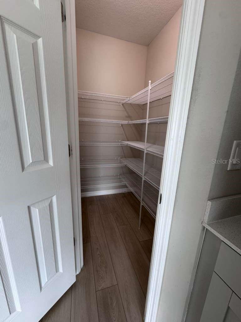 Image 35 of 39 For 34086 Scarlet Sage Court