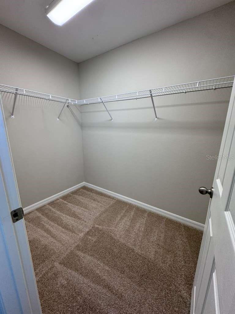 Image 36 of 39 For 34086 Scarlet Sage Court