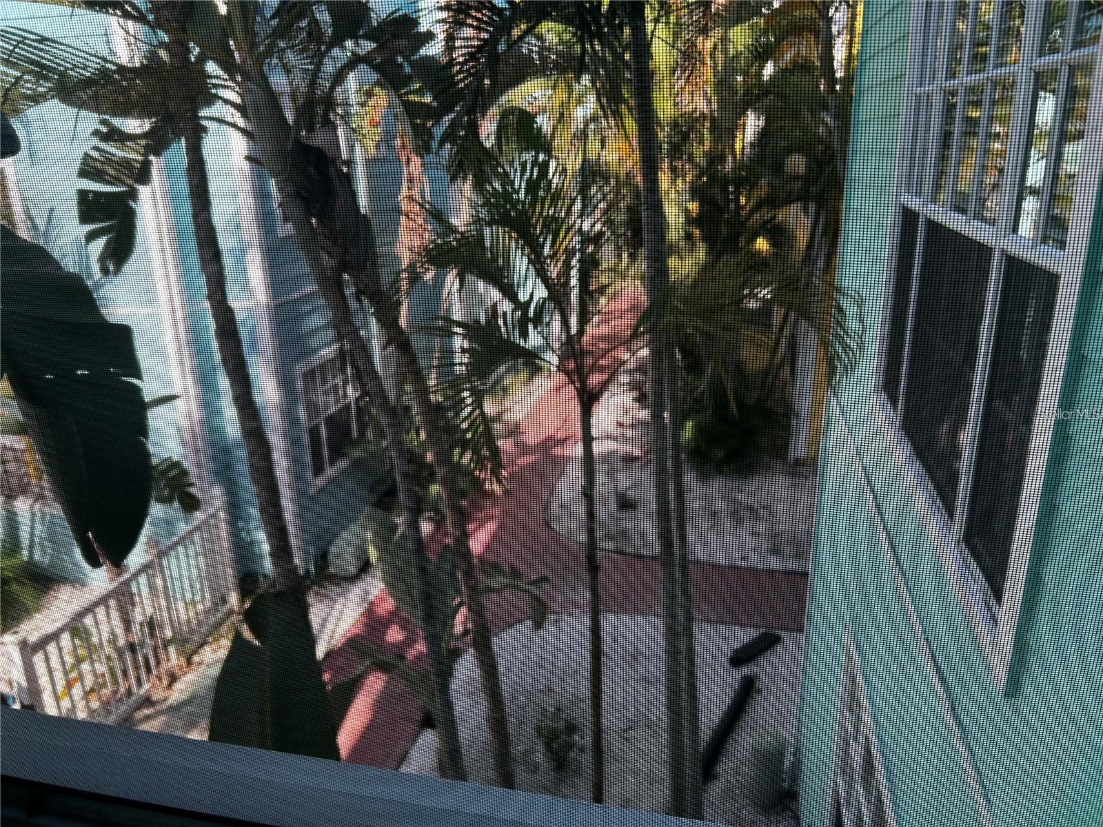 Image 45 of 45 For 3002 Cleveland Street B7