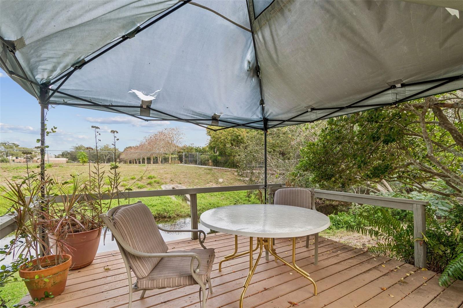 Image 50 of 66 For 1399 Embassy Drive