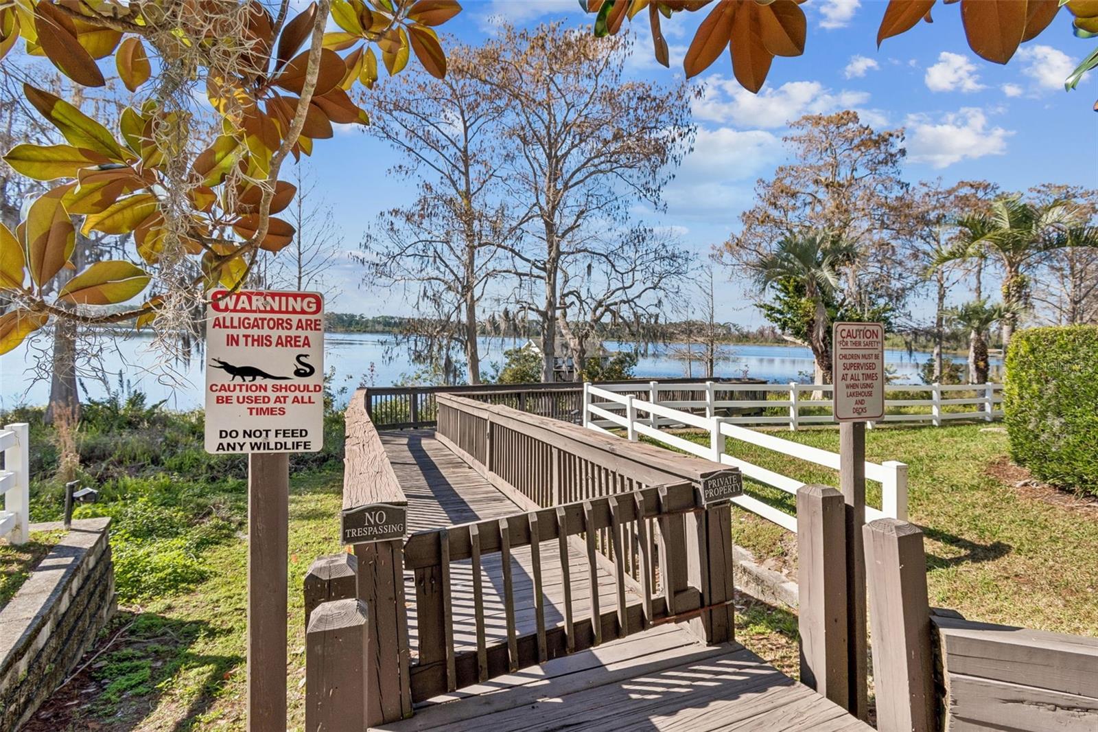 Image 51 of 62 For 10250 Fallsgrove Street