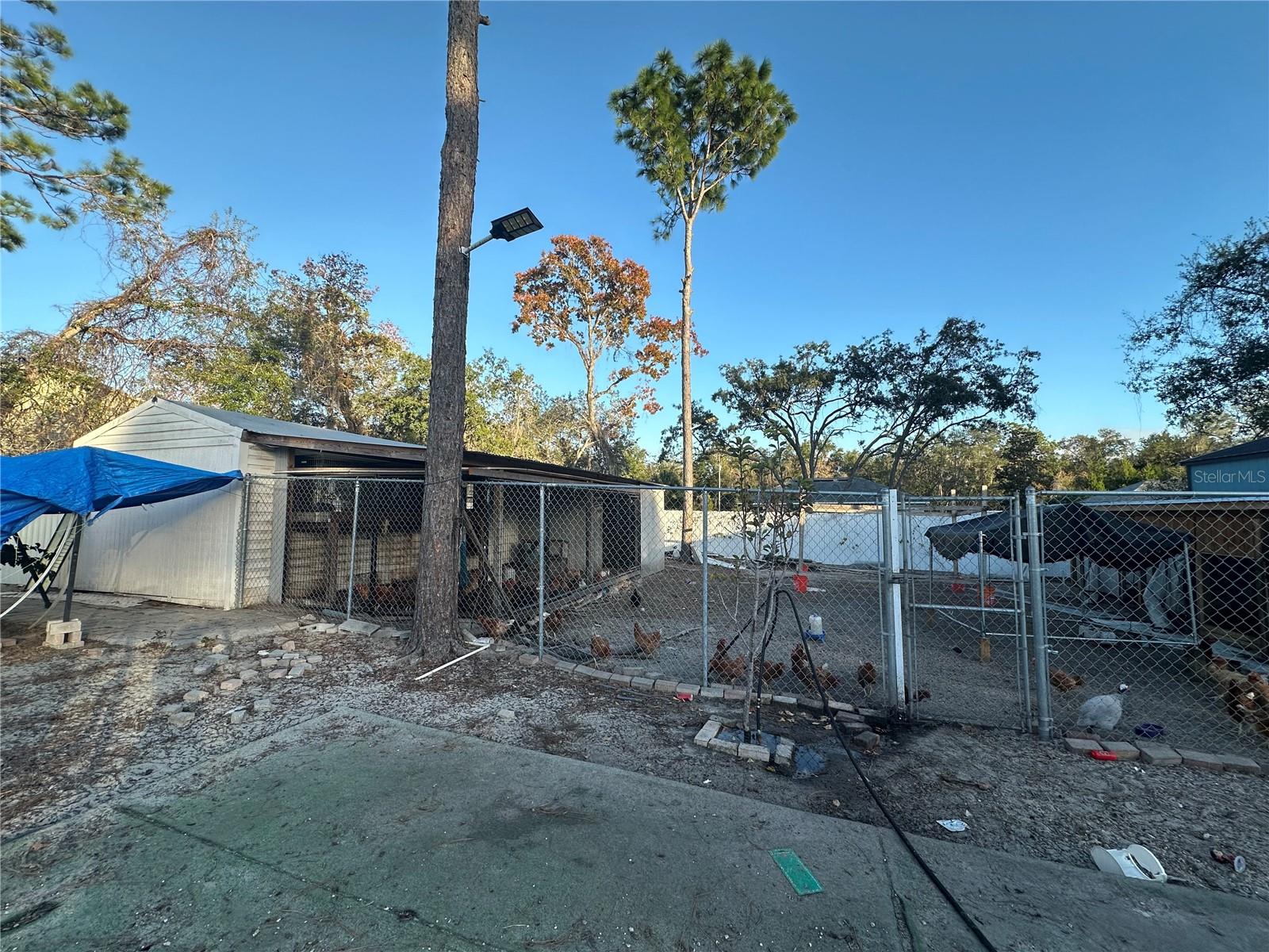 Image 32 of 36 For 11382 Mahopac Road