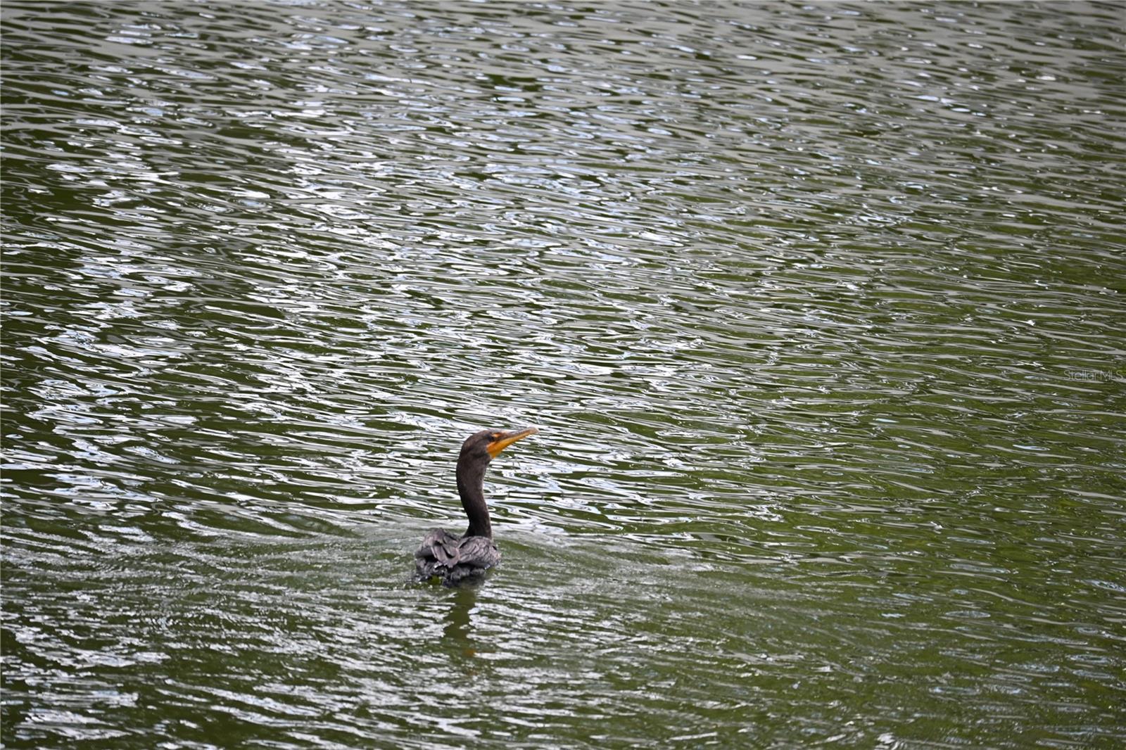 Image 25 of 28 For 8609 Driftwood Drive