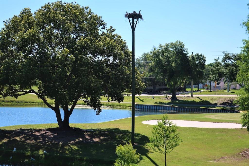 Image 56 of 81 For 3470 Maclaren Drive