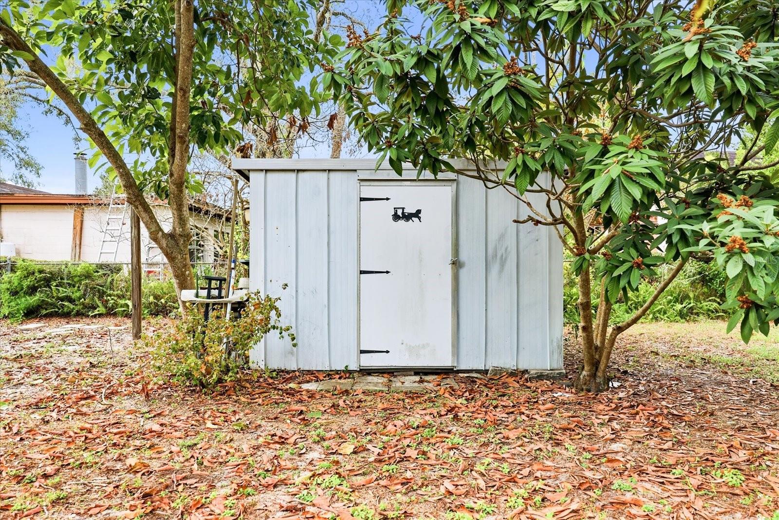 Image 27 of 38 For 207 Seneca Avenue