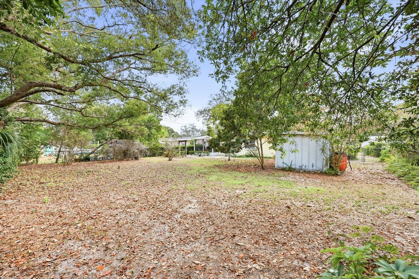 Image 29 of 38 For 207 Seneca Avenue