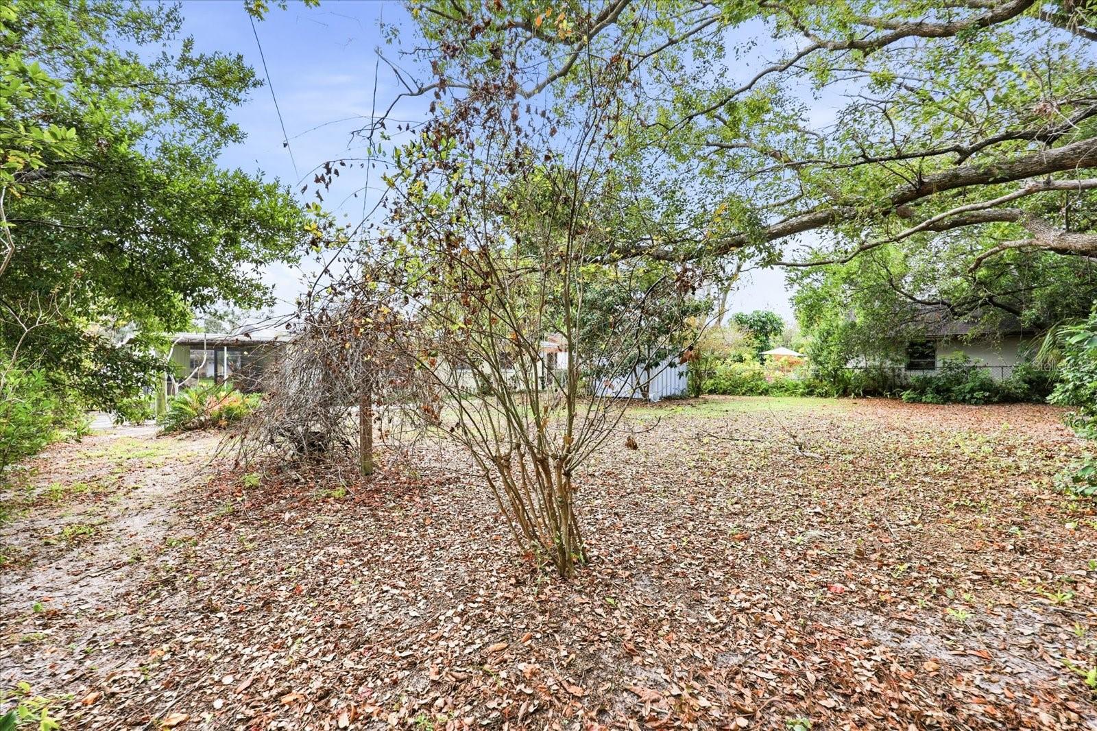 Image 30 of 38 For 207 Seneca Avenue