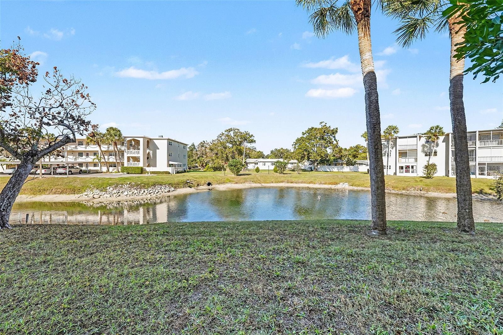 Image 9 of 14 For 940 Virginia Street 105