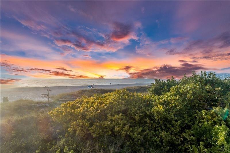 Image 38 of 38 For 12000 Gulf Boulevard 311n